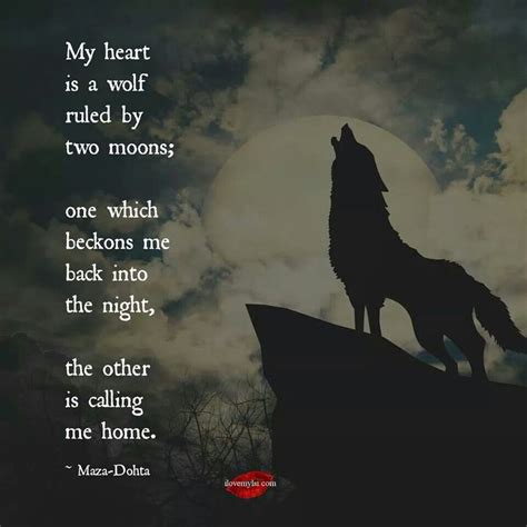 Pin by Michelle Ann on me | Wolf quotes, Lone wolf quotes, Wolf spirit