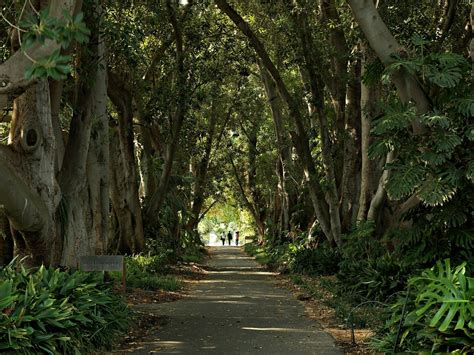 Adelaide Botanic Garden - Marion Holiday Park