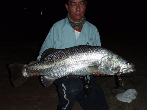 JONES'S TACKLE: Barra fishing near Brisbane