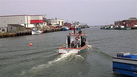 Glace Bay harbour to enter final dredging stage - Nova Scotia - CBC News