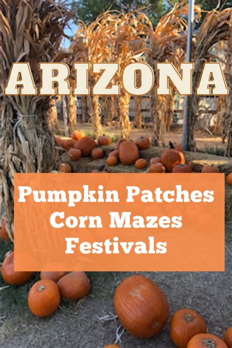 12 Arizona Pumpkin Patches, Corn Mazes & Fall Festivals 2023 | Bargain ...