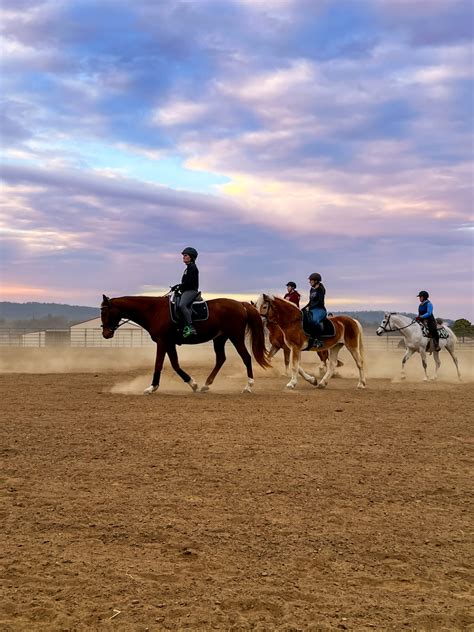 Hand Gallop – taking riding and life with extra pace