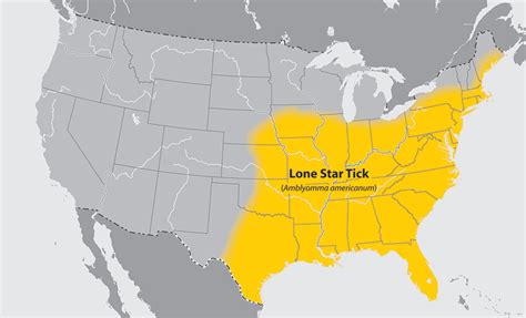 Lone Star tick