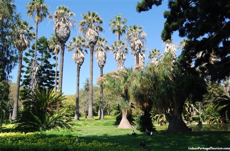 TROPICAL BOTANICAL GARDEN, Lisbon - 2024 Tourist Guide