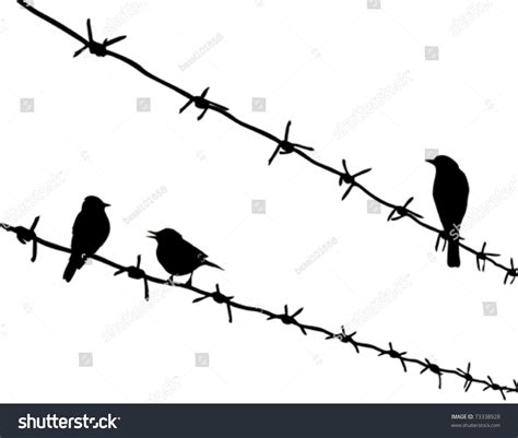 Vector Silhouette Three Birds On Barbed: wektor stockowy (bez tantiem ...