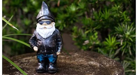 8 of the best funny garden gnomes | Morning Ag Clips