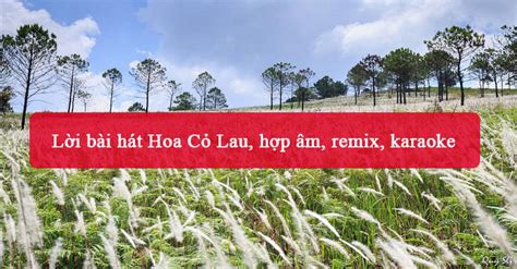 Lời bài hát Hoa Cỏ Lau, hợp âm, remix, karaoke - META.vn