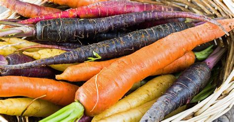 13 of the Best Carrot Varieties to Grow at Home | Gardener's Path