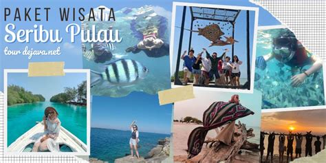 4 Pilihan Paket Wisata Pulau : Pulau Seribu, Pulau Peucang Ujung Kulon ...