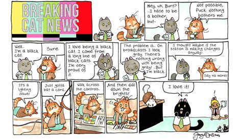 Comics – BREAKING CAT NEWS