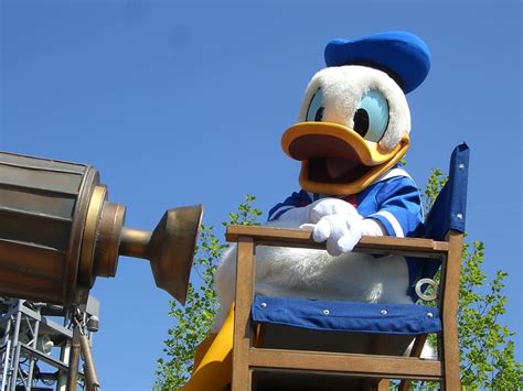 Free download | HD wallpaper: Donald Duck mascot, Disneyland, Paris, Paris, Disneyland ...