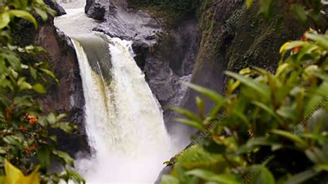 San Rafael Falls - Stock Video Clip - K003/0297 - Science Photo Library