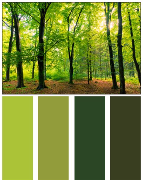 nature color combination - Pesquisa Google | Nature color palette ...