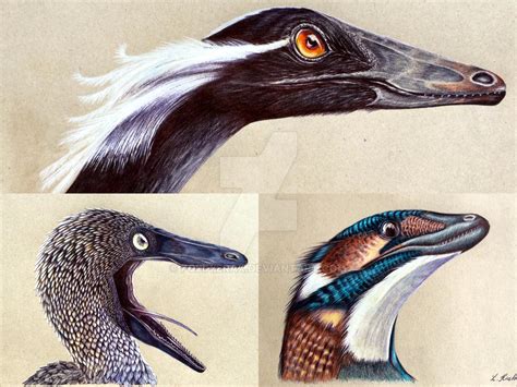 Troodontidae by Polihierax on DeviantArt