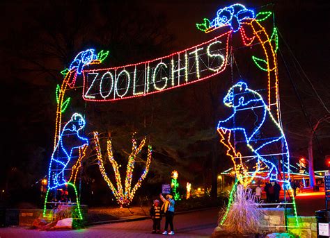 2024 Christmas Lights in Jacksonville - Jacksonville Beach Moms | Zoo lights, Holiday lights ...