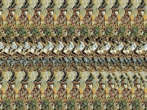 STEREOGRAM FOR FUN | Magic eyes, Eye illusions, Illusions