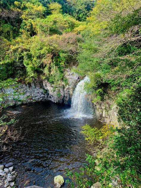 Jeju island waterfall | South korea travel, Korea travel, Jeju island