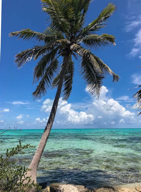 Return to Blackadore Caye, Belize...Yes...Leo's Island | San Pedro Scoop