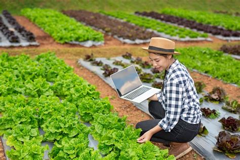 Modern Farming Methods: How To Farming Use Modern Technologies