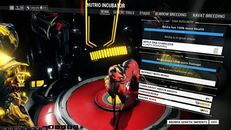 My first kavat guys - General Discussion - Warframe Forums