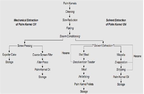 Extraction of palm kernel oil | Download Scientific Diagram