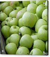 Green Apples Photograph by Rebecca Cozart - Fine Art America