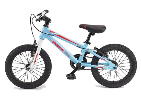 The Best 16 Inch Bike For Kids: Complete Buying Guide - Toys Advisors