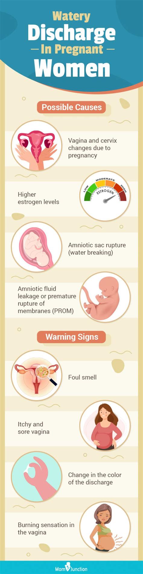 Watery Discharge Sign Of Pregnancy Cervical Mucus An Early Pregnancy – NBKomputer