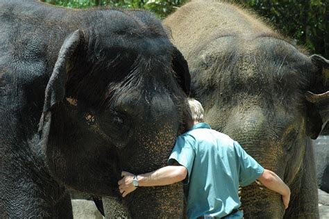Group Hug | Elephant trainer at Auckland Zoo gives the Eleph… | Flickr