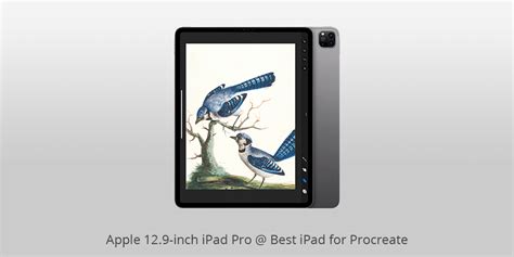 5 Best iPads for Procreate to Buy in 2024