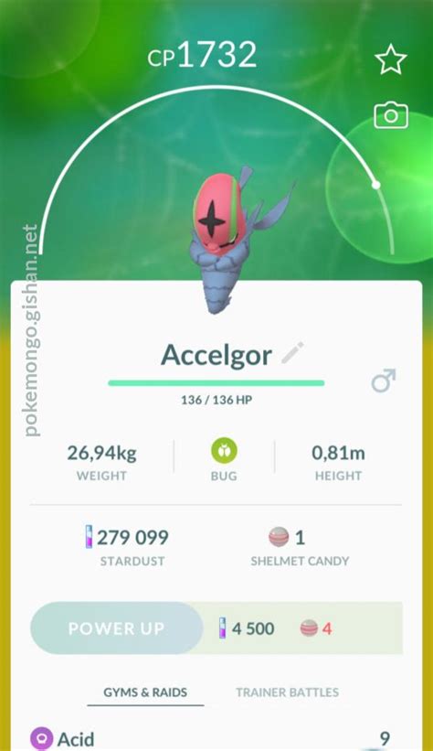 Accelgor - Pokemon Go