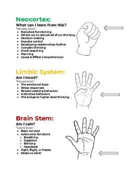 Hand Brain Model - Trauma Informed Practices - Interpersonal Neurobiology