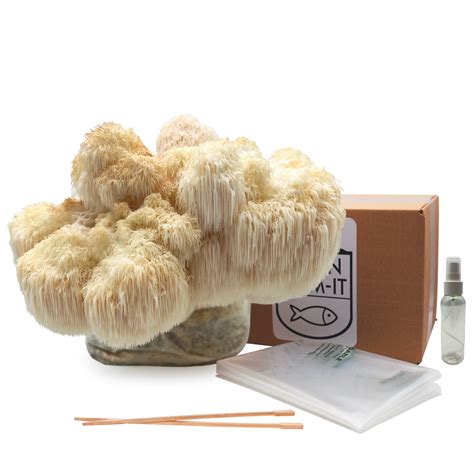 Buy Lion's Mane Mushroom Growing Kit From £19.99 | Urban Farm-It