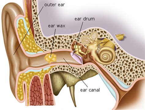 Ear Wax Blockage - Causes, Symptoms, How to Remove Ear Wax