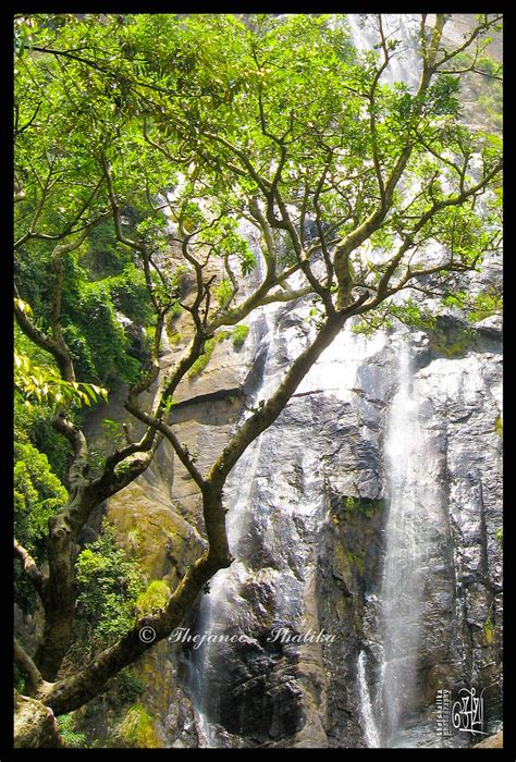 Bambarakanda Falls | Bambarakanda Falls (also known as Bamba… | Flickr