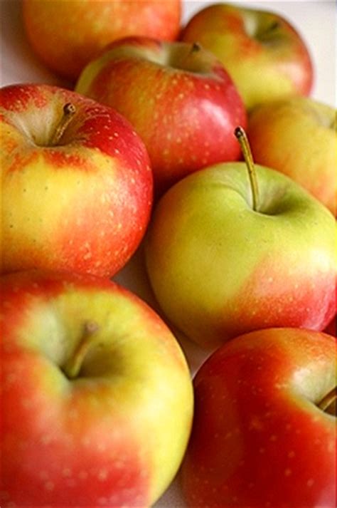 Aussie Apples – different types, different seasons | Local Harvest