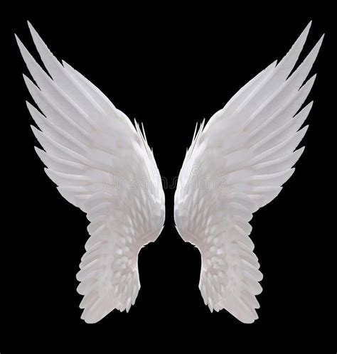 Angel Wings Png, Swan Wings, White Angel Wings, Wings Of Angels, Bird ...