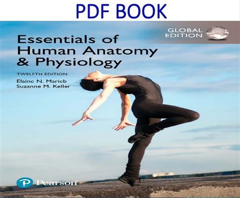 Essentials of Human Anatomy & Physiology 12th Global Edition PDF Book by Elaine N. Marieb, Suzan ...