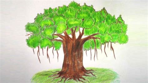 Banyan Tree Drawing Easy For Kids Drawing Easy | Images and Photos finder