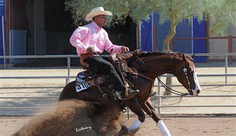 Matt Mills comes to a sliding stop aboard Elans Lil Chic! | Matt mills, Reining horses, Healthy ...