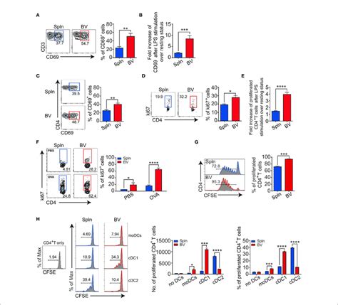 | Enhanced CD4 + T-cell activation and antigen presentation in vascular ...