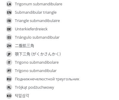 Submandibular triangle - e-Anatomy - IMAIOS