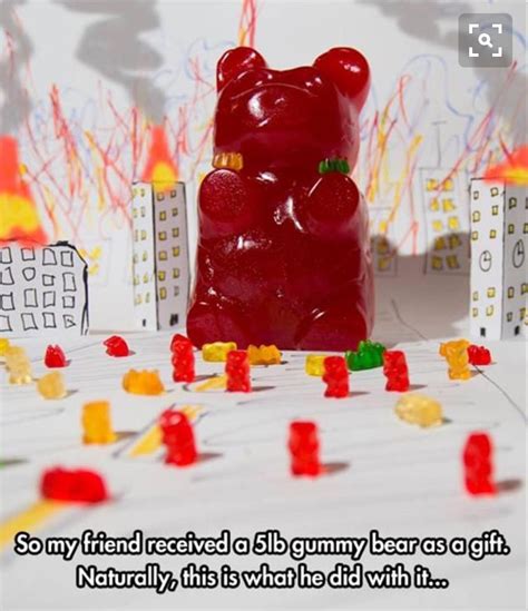 gummy bear. giant. | Funny pictures, Gummy bears, Bones funny