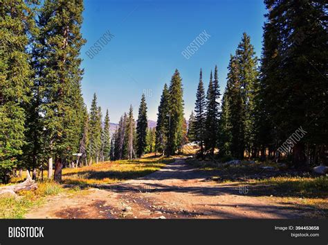 Lake Mary Marth Image & Photo (Free Trial) | Bigstock