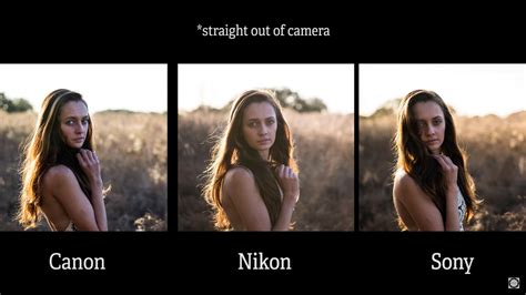 Sony A7RIII vs Nikon D850 vs Canon 5D Mark IV