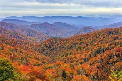 2022 Smoky Mountains Fall Foliage and Forecast