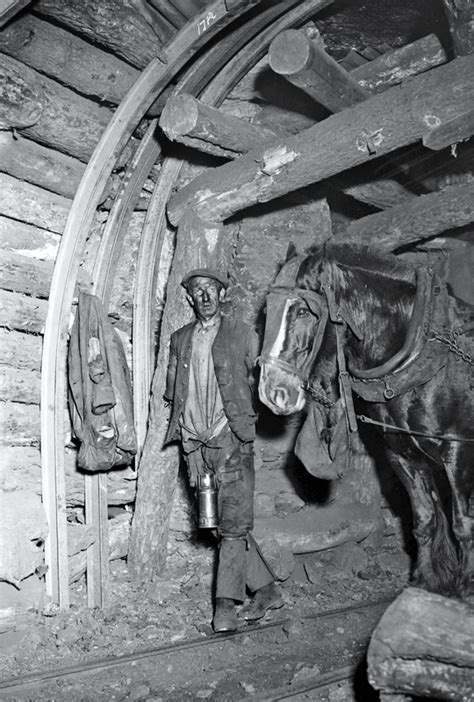 Pit Ponies - Ghosts of the Coal Mines | Horse Journals