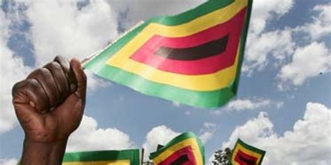 Court throws out Zanu PF petition - Zimbabwe Situation