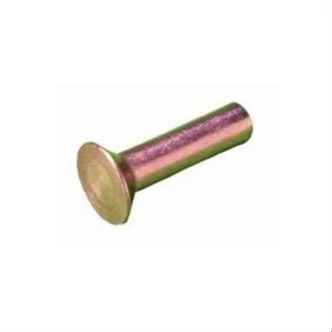 Brass Round Head Rivet, Packaging Type: Box at Rs 220/kilogram in ...