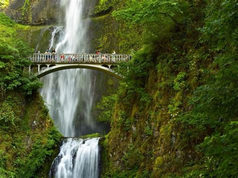 Multnomah Falls: Optional Ways to Take this day trip from Portland Oregon